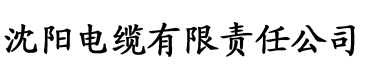 秋霞影院伦理片电缆厂logo